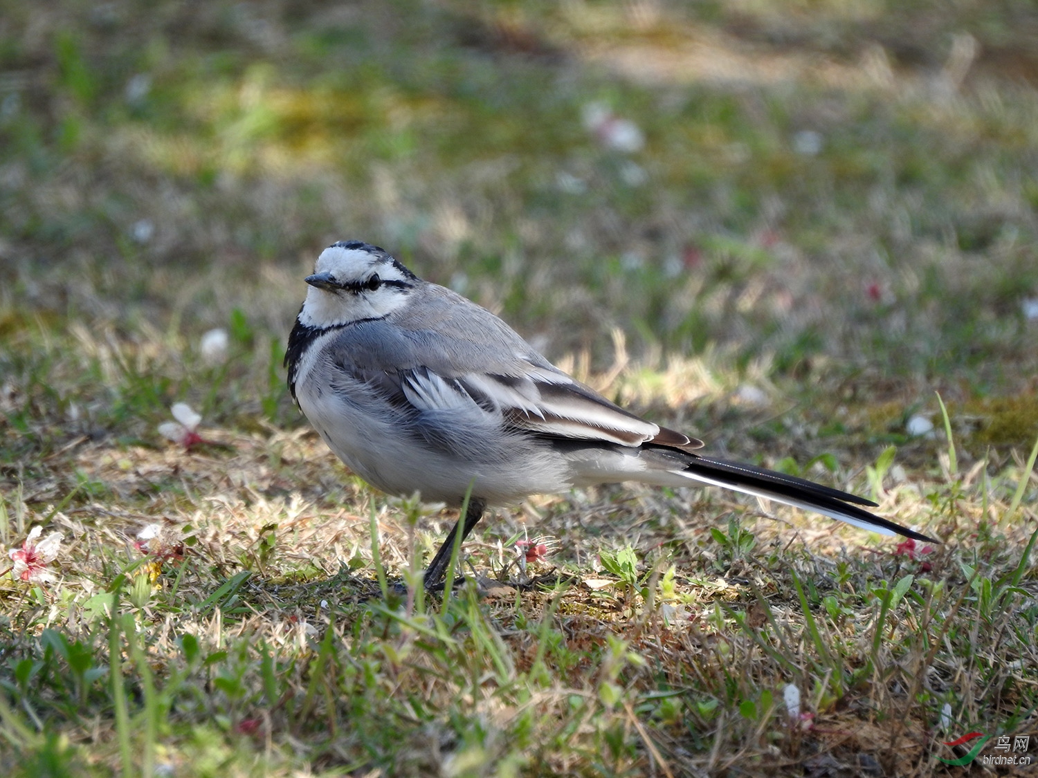 DSCN1052.jpg