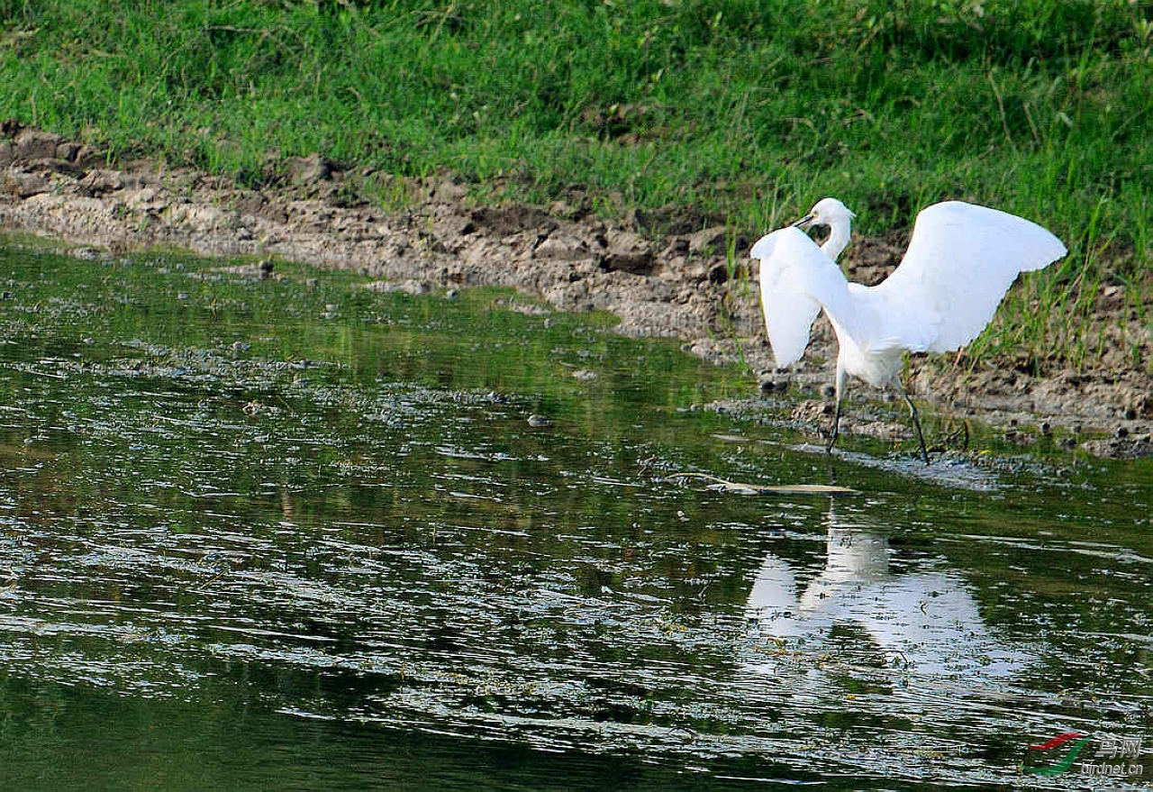 DSC_8145.JPG
