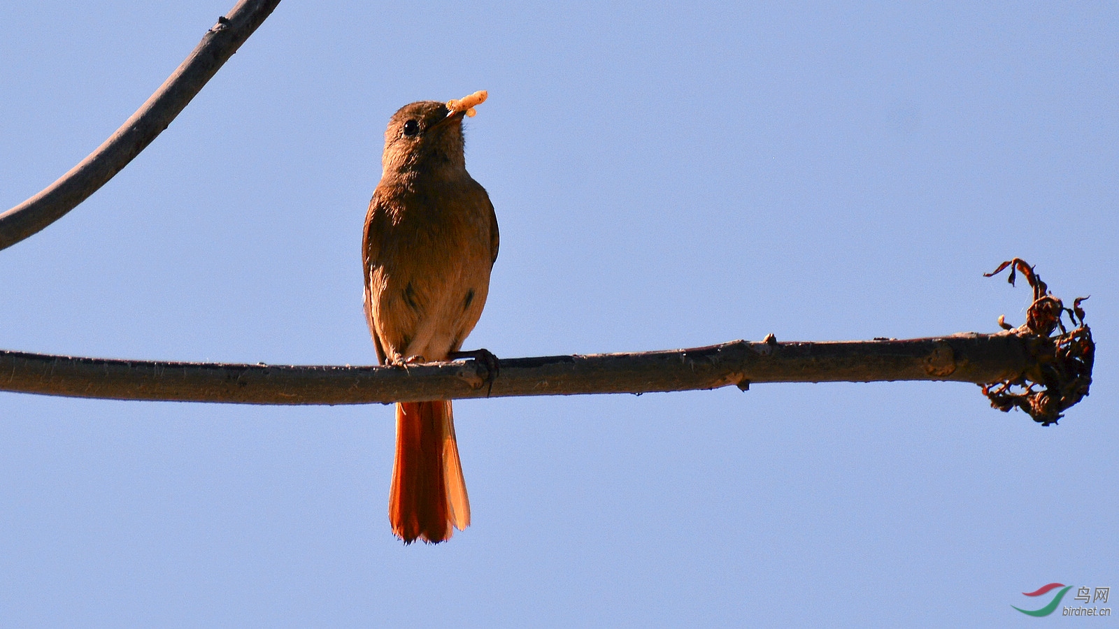 DSC_8456.JPG