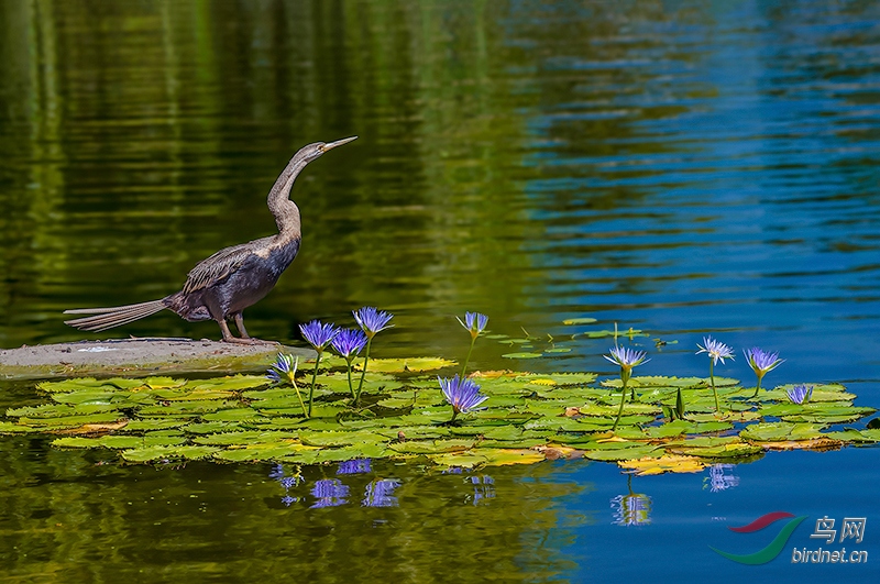 _DSC2466CC-3.jpg