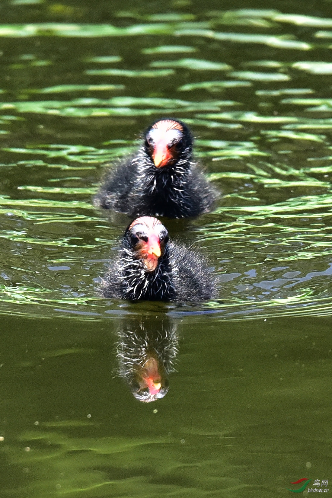 DSC_0717.JPG