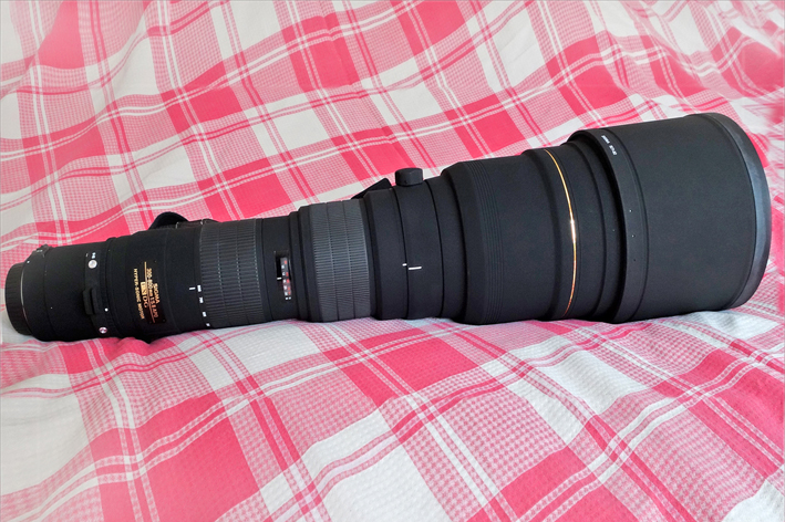 ����300-800mm F5.6 APO EX DG HSM �佹��ͷ�����ܿڣ�