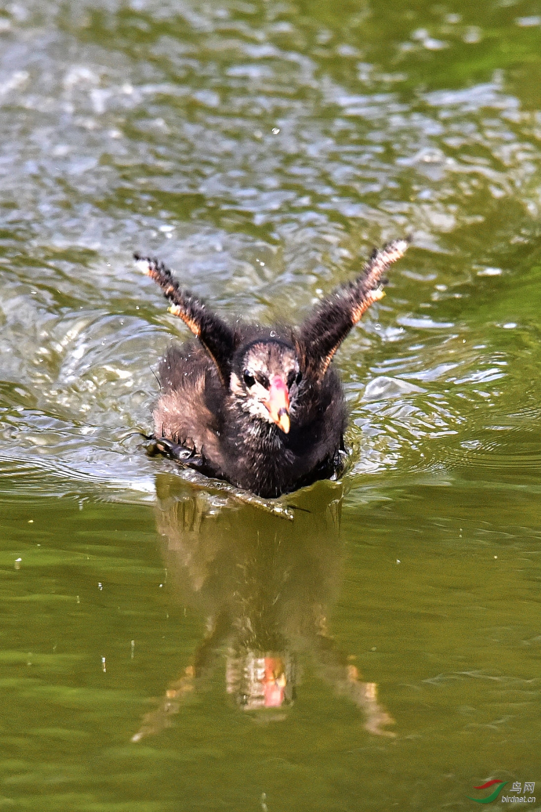 DSC_0722.JPG