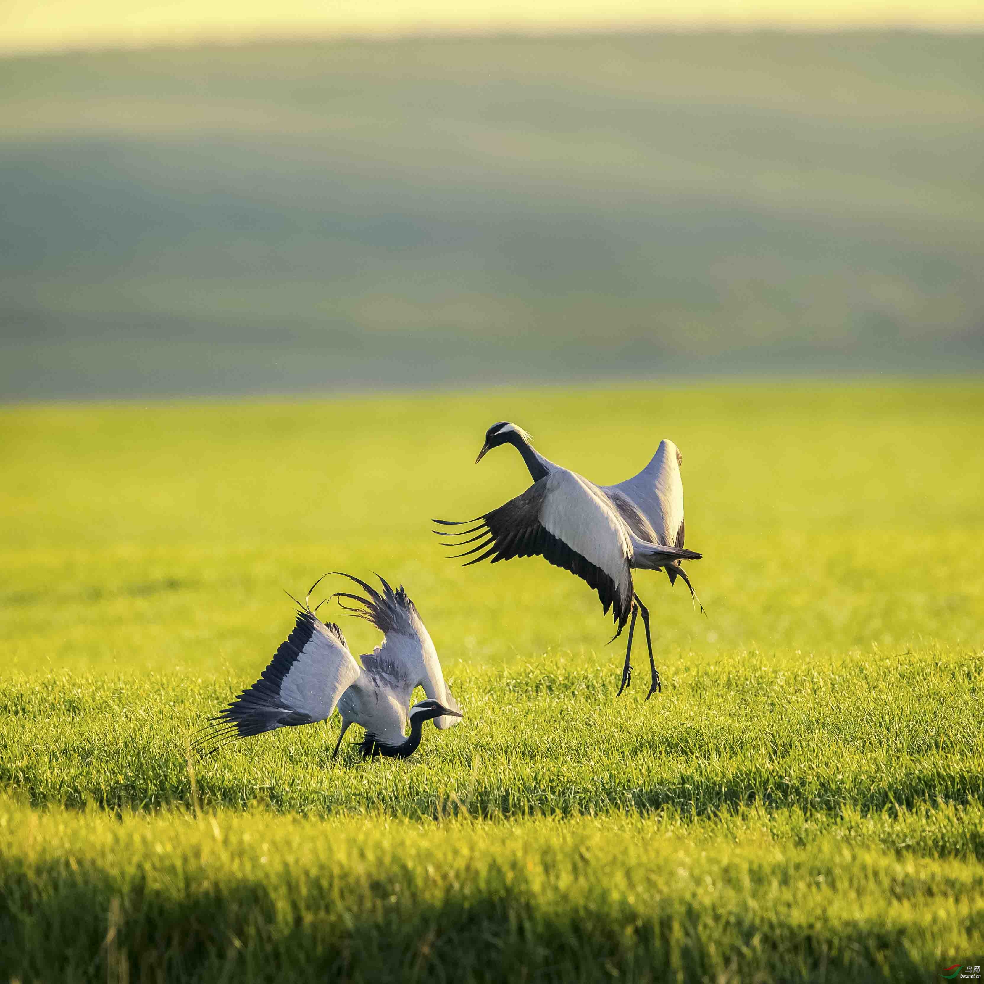 _DSC9344���� (1)_1.jpg