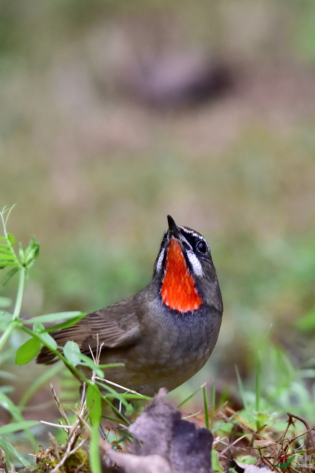 DSC_0282.JPG