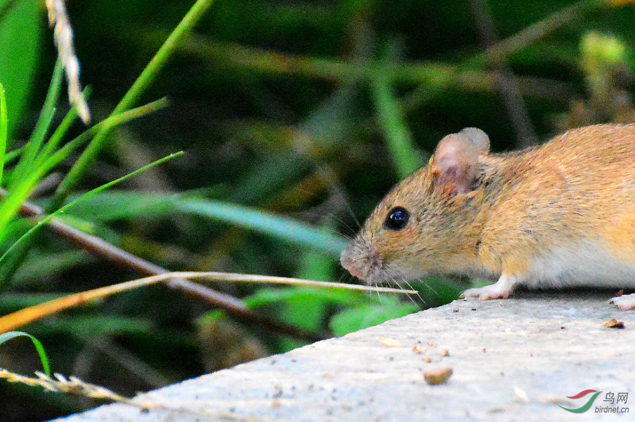 DSC_3710.JPG