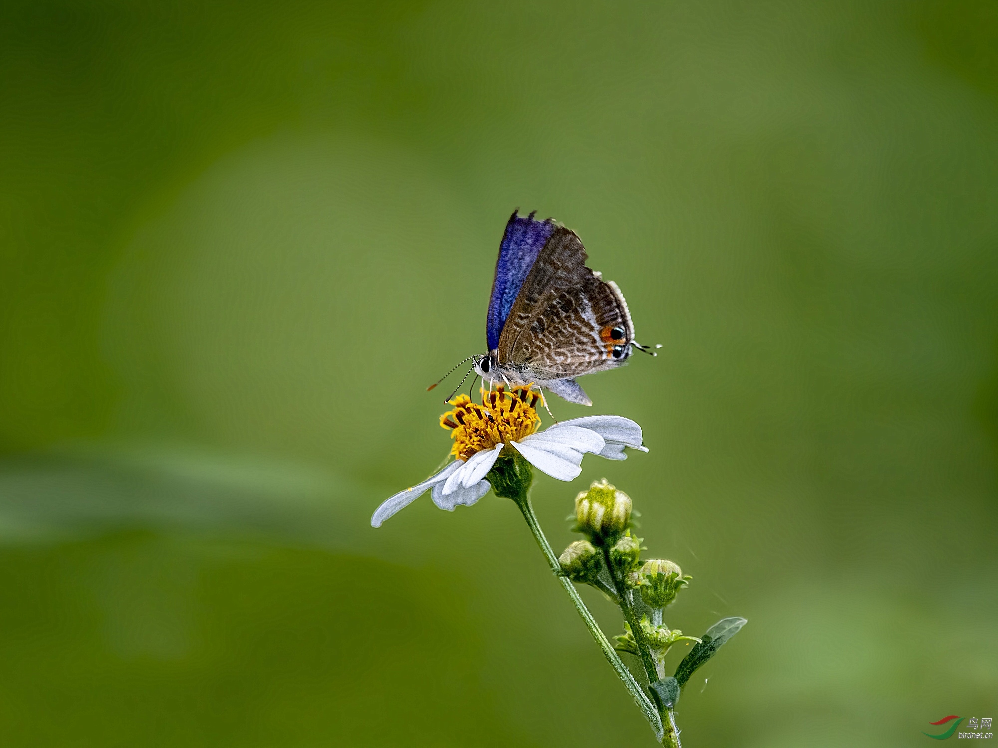 DSC_1082_����.jpg
