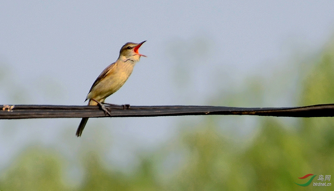 DSC_3210.JPG