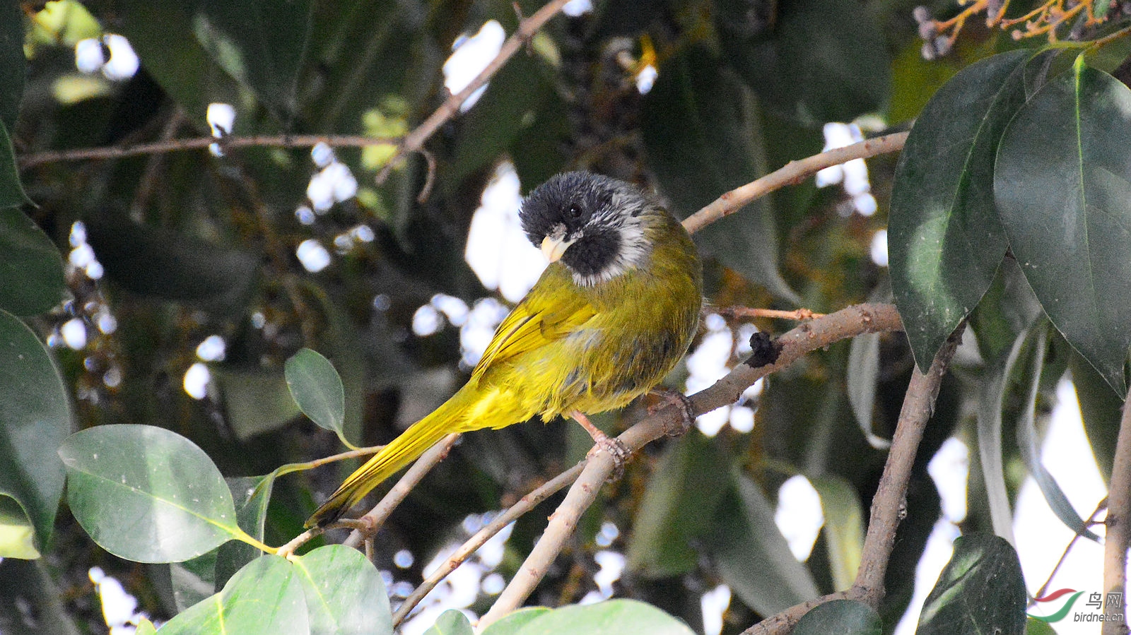 DSC_1453.JPG