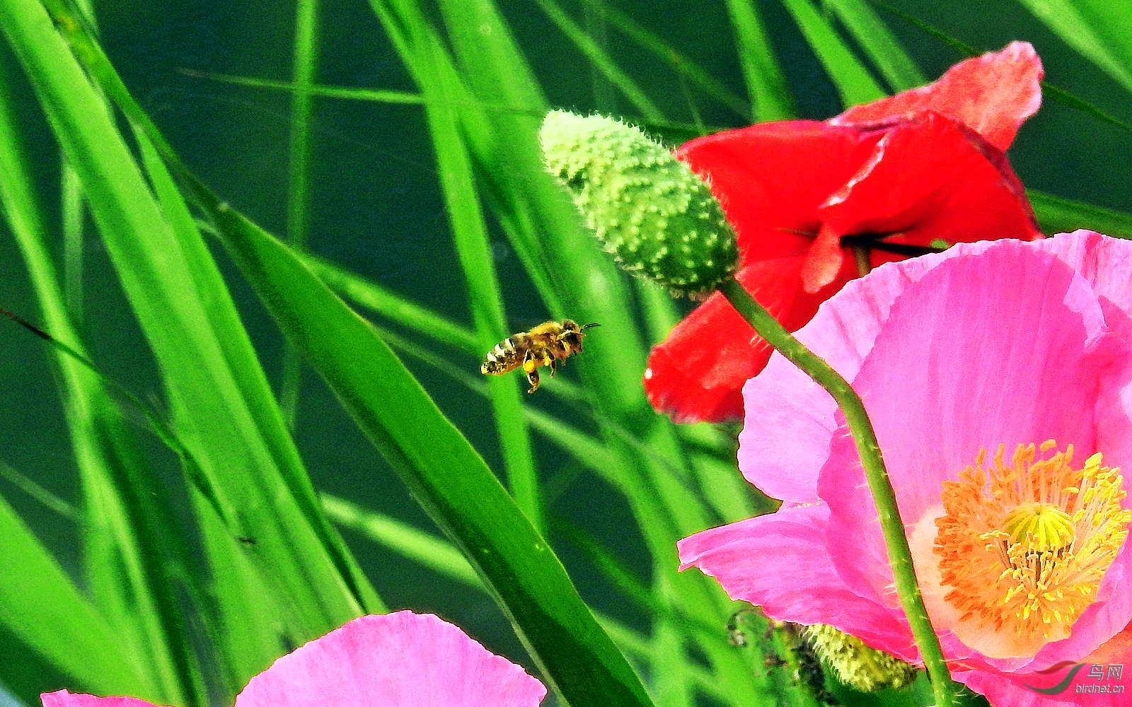 DSCN7768.JPG