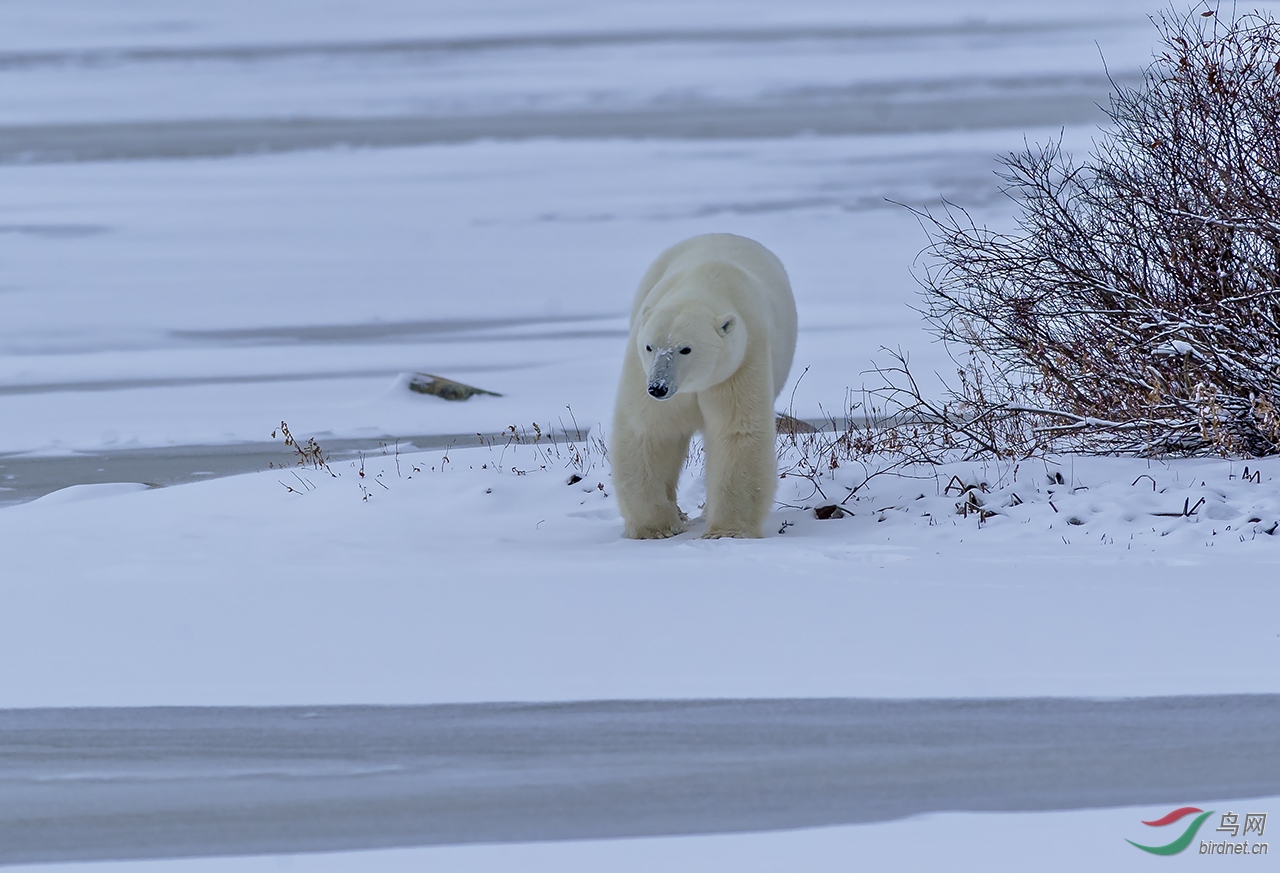 _DSC9991-W.jpg