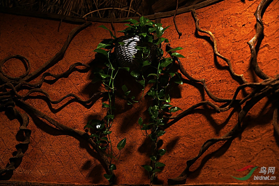 AQ1I9309_����_����.jpg
