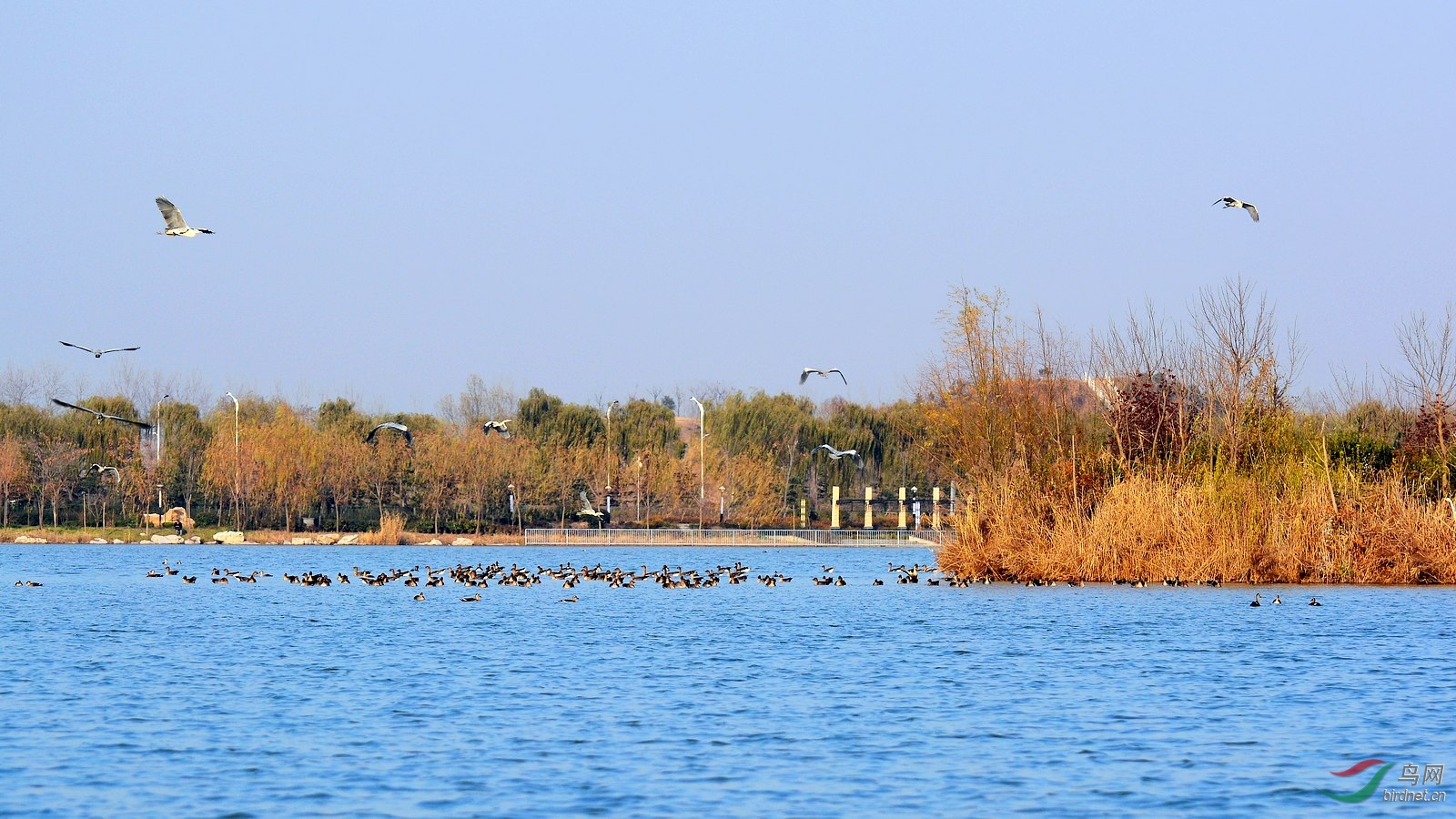 DSC_5681.JPG