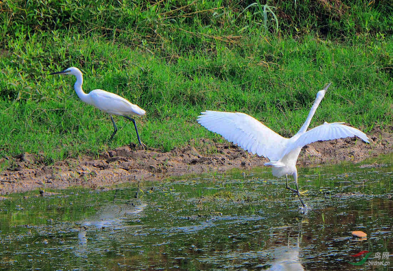 DSC_8150.JPG