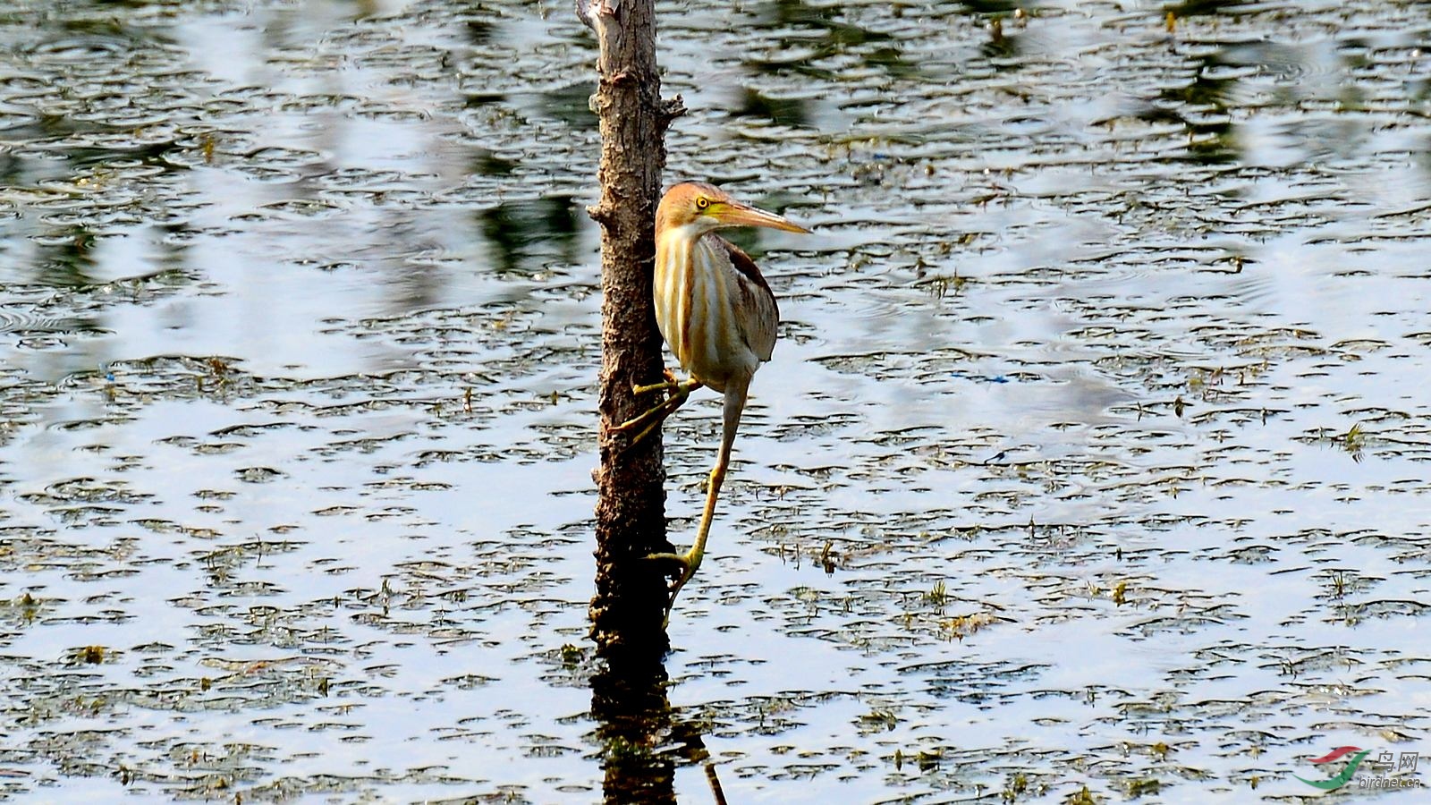 DSC_5740.JPG