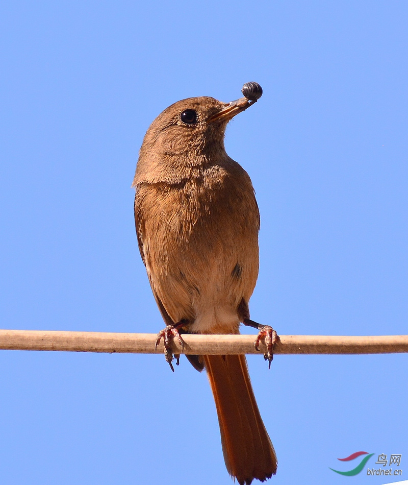 DSC_8424.JPG