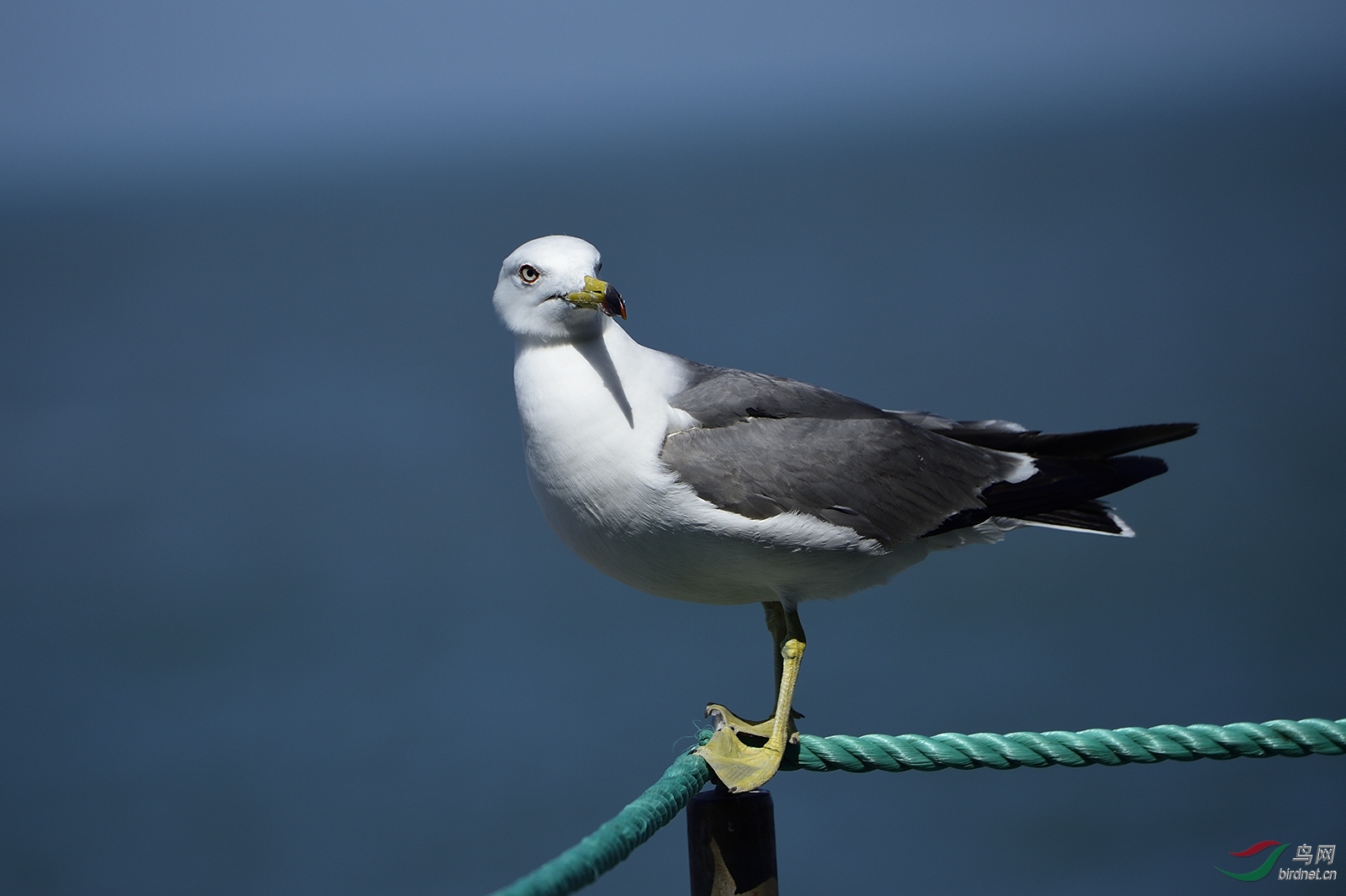 _DSC3025_2180a.jpg