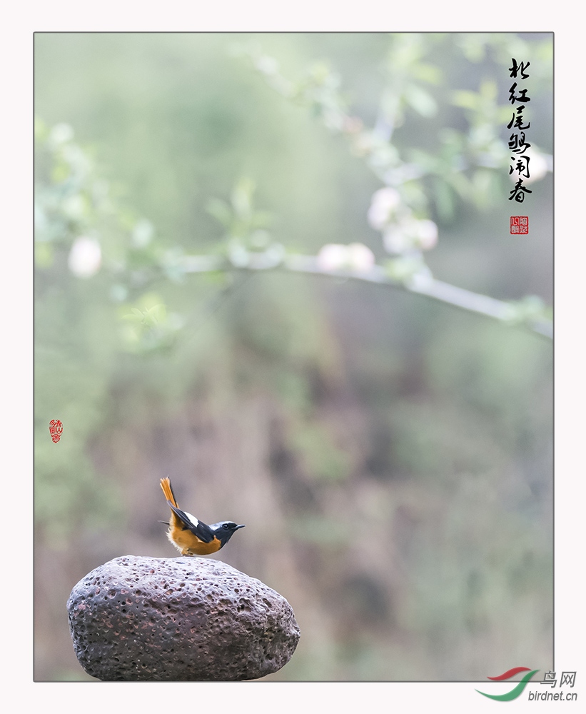 SHC_9519-6.jpg