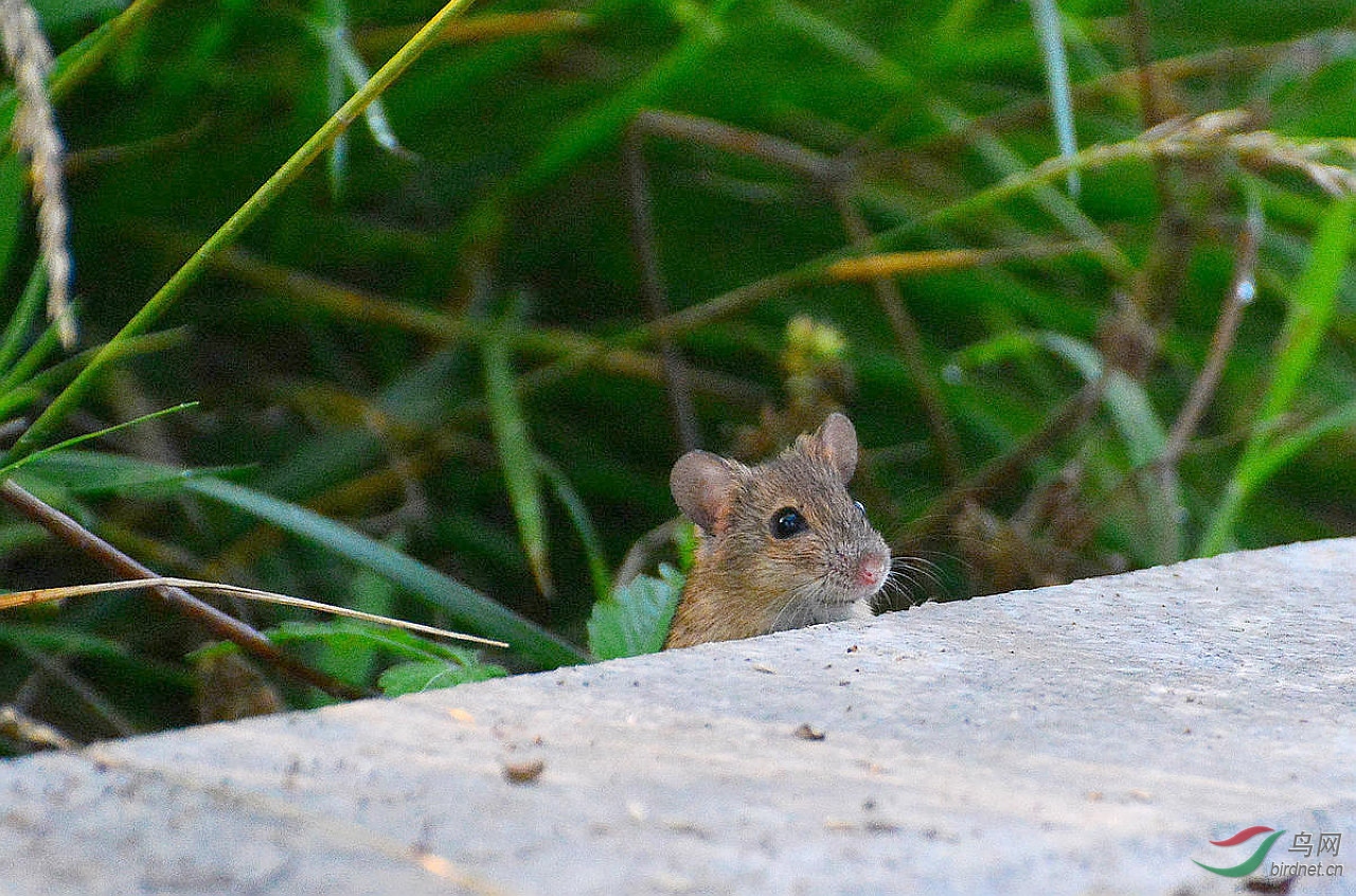 DSC_3693.JPG