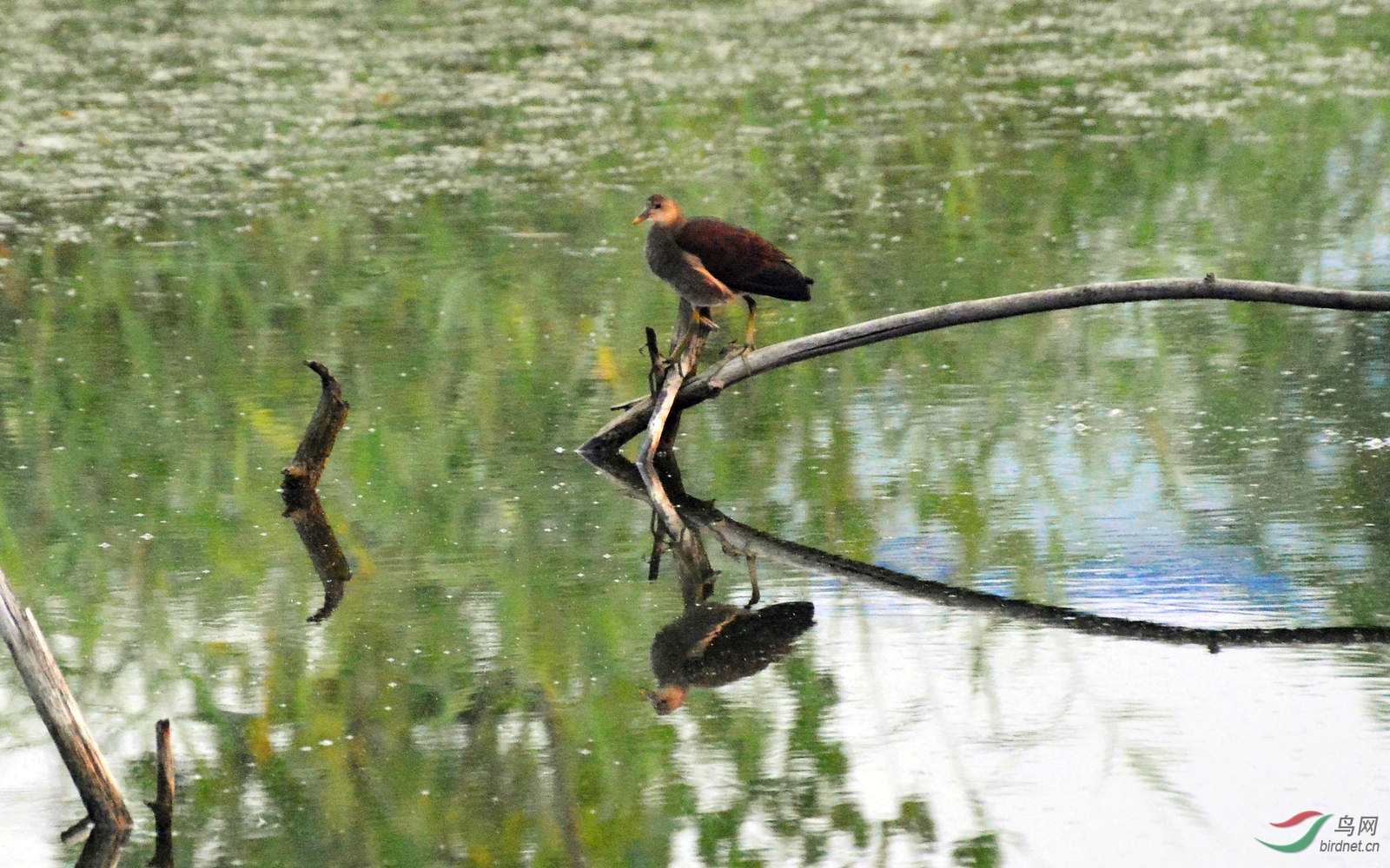 DSC_3855.JPG