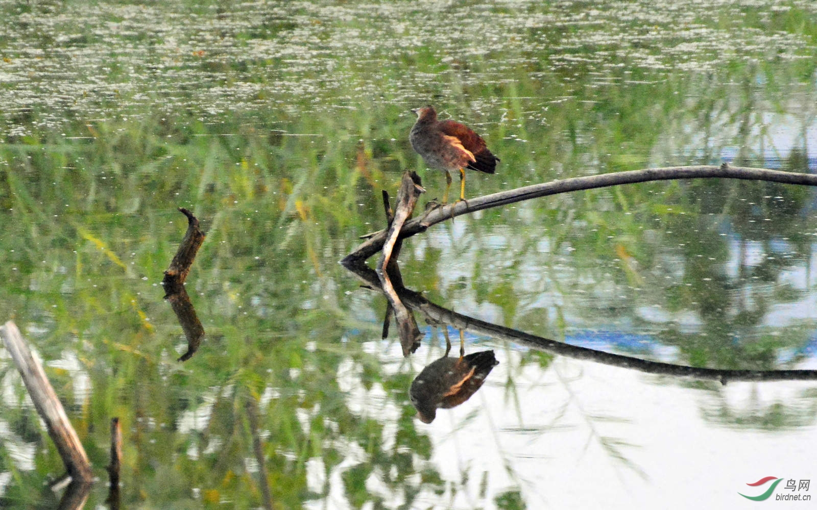 DSC_3858.JPG