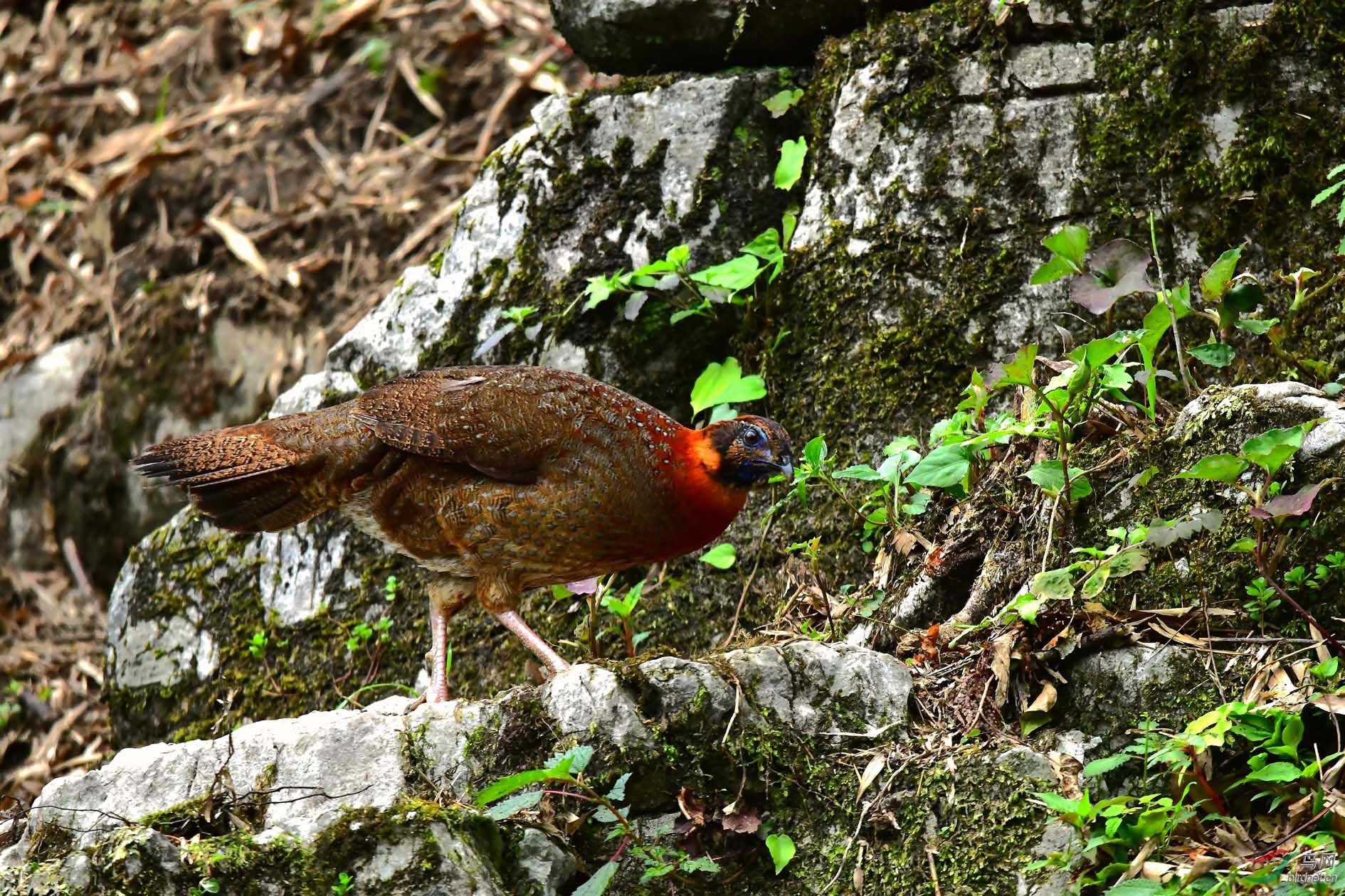 DSC_6527_����.jpg