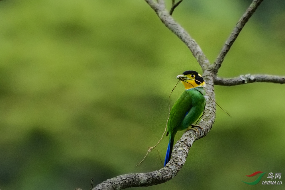 DSC_3713NX.jpg