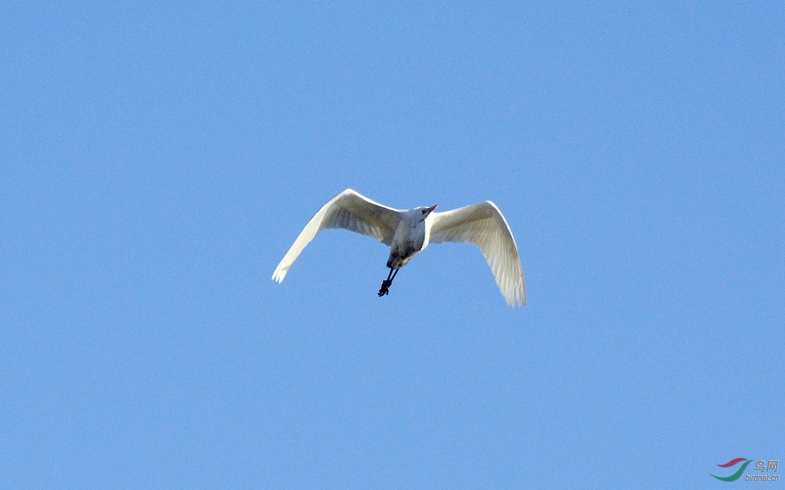 DSC_6227.JPG