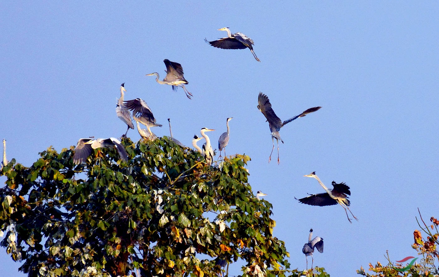 DSC_5641.JPG