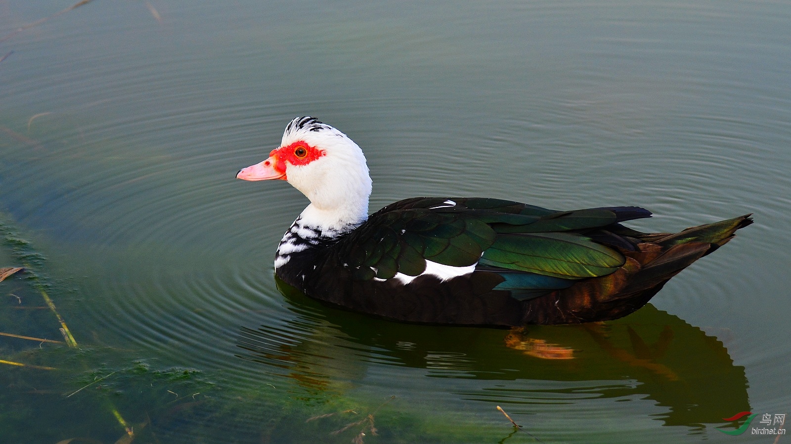 DSC_4025.JPG