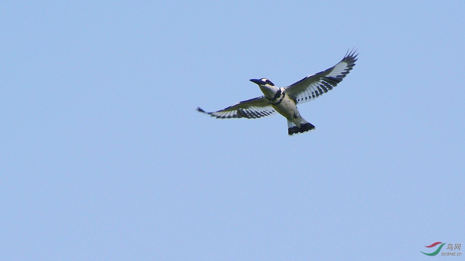 DSC_6281.JPG