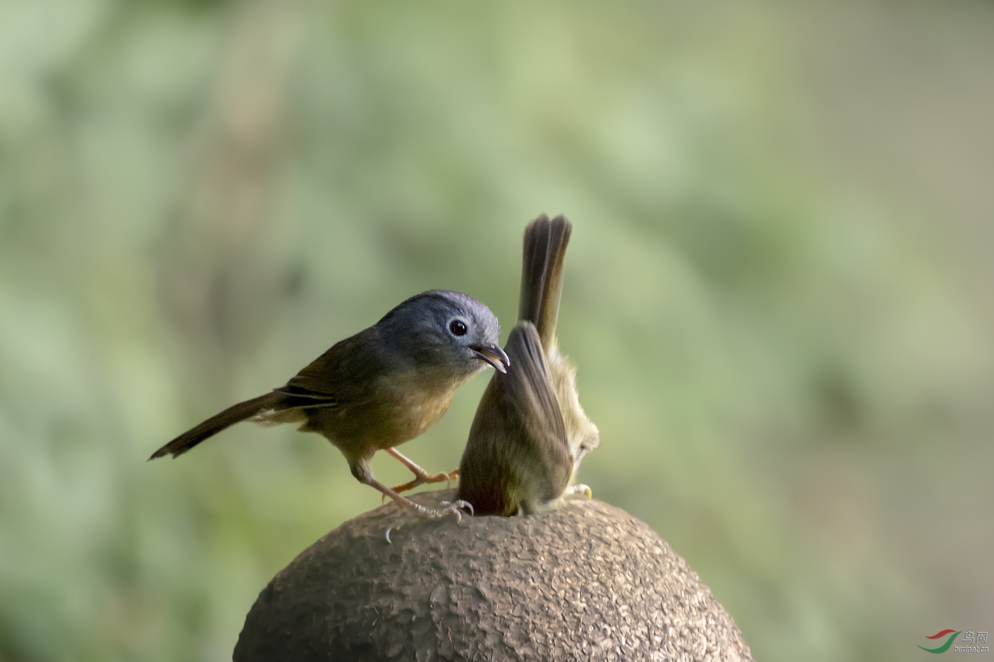DSC_4277_����.jpg