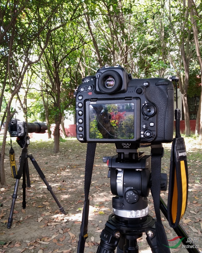 �߼���ľ��������Ϸ�