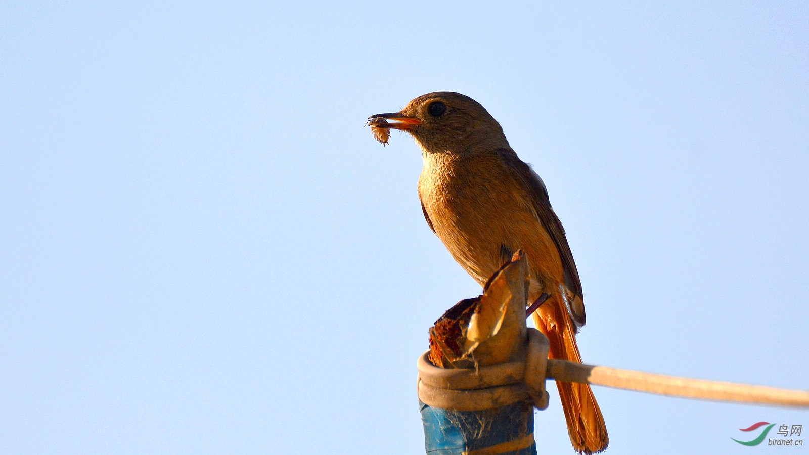 DSC_8485.JPG