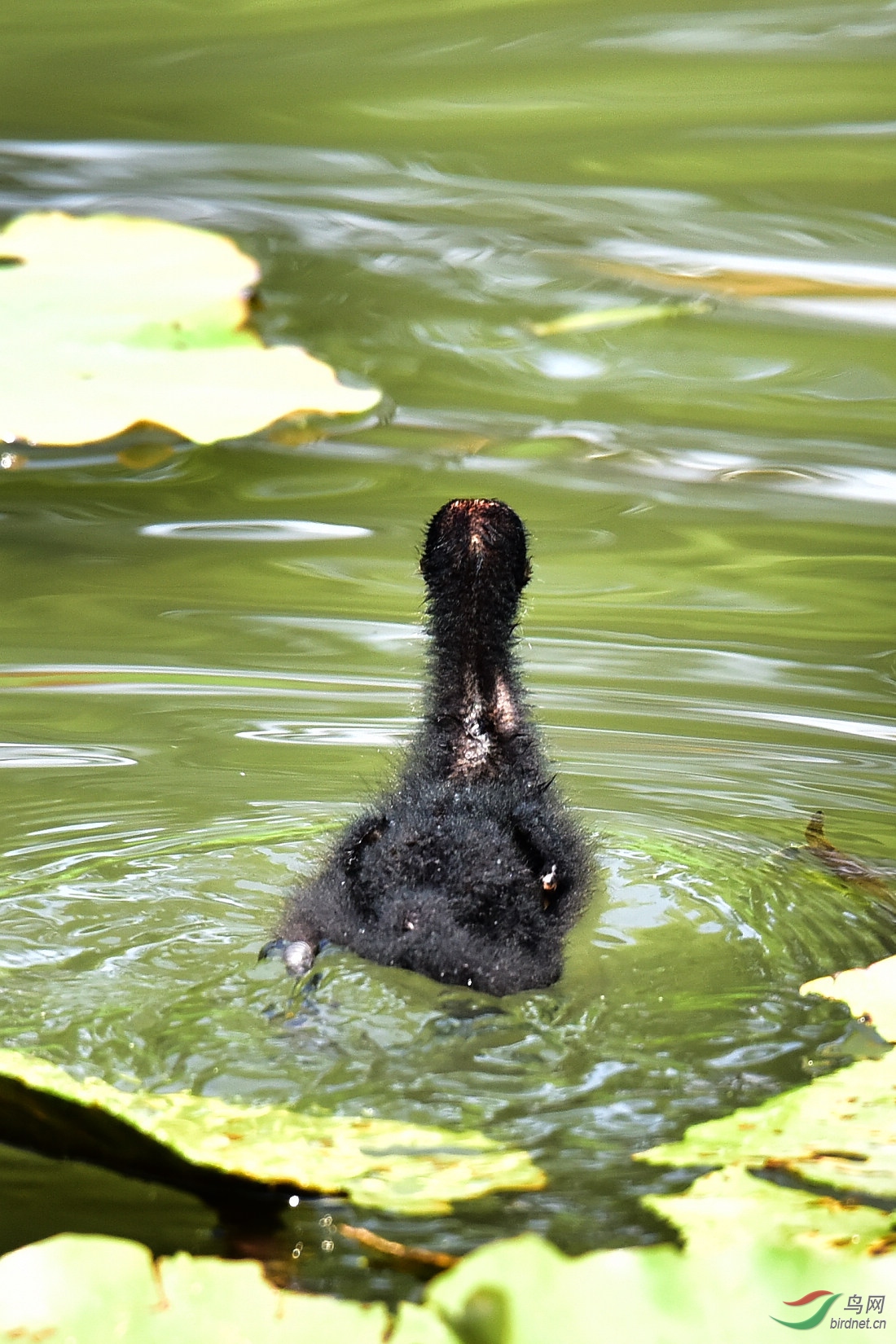 DSC_0734.JPG