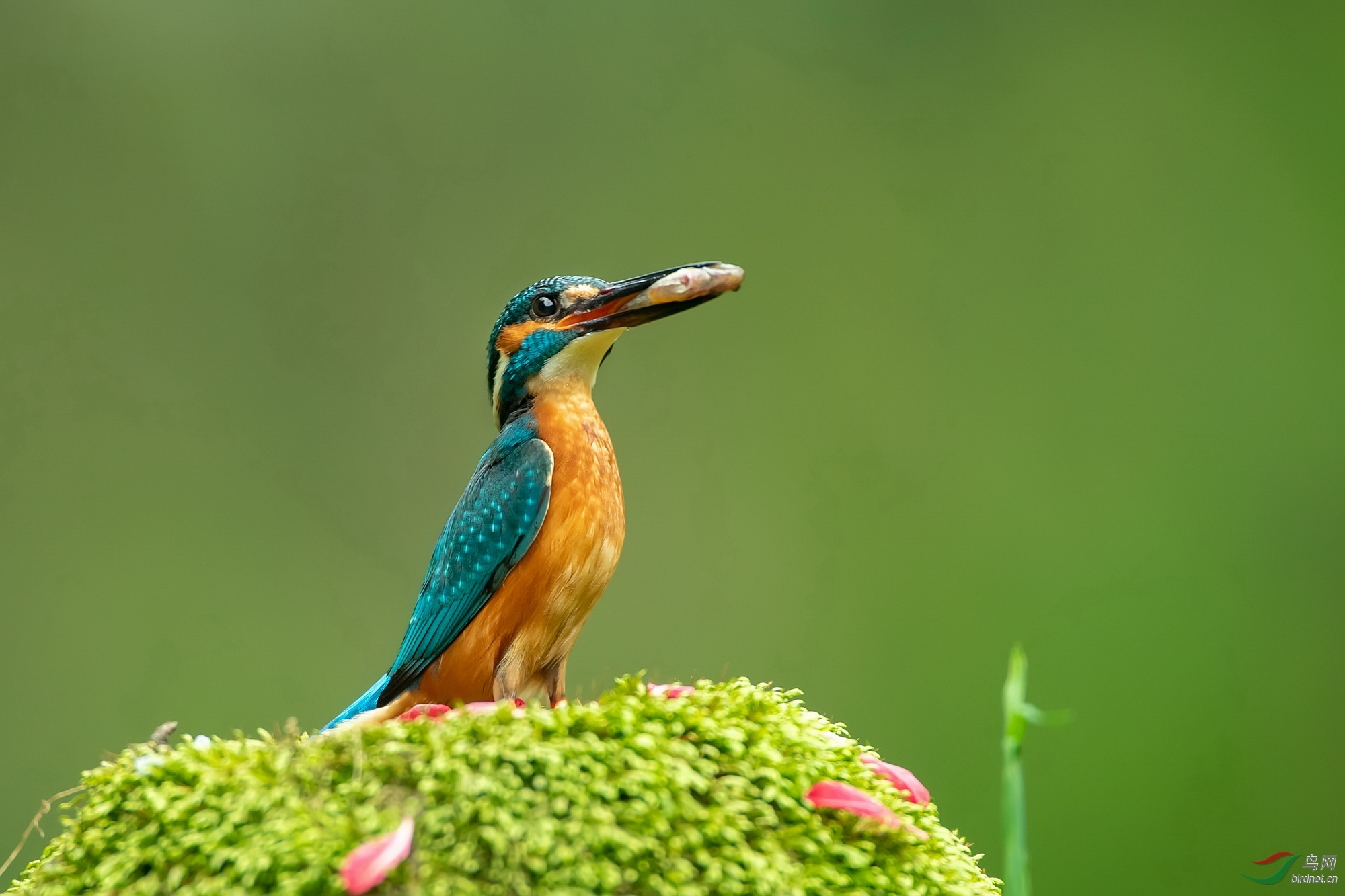 DSC_7214.jpg