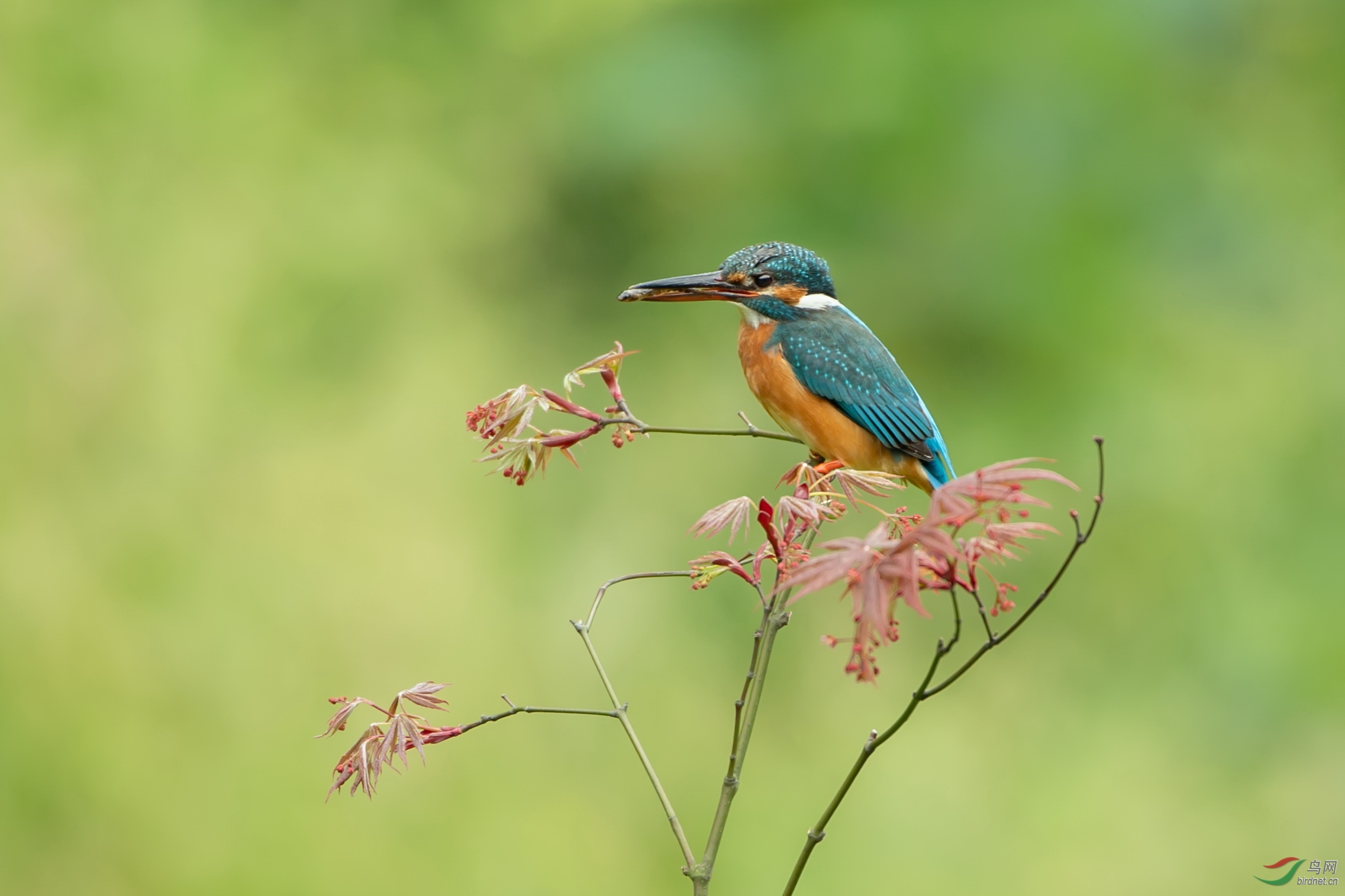 DSC_5417.jpg
