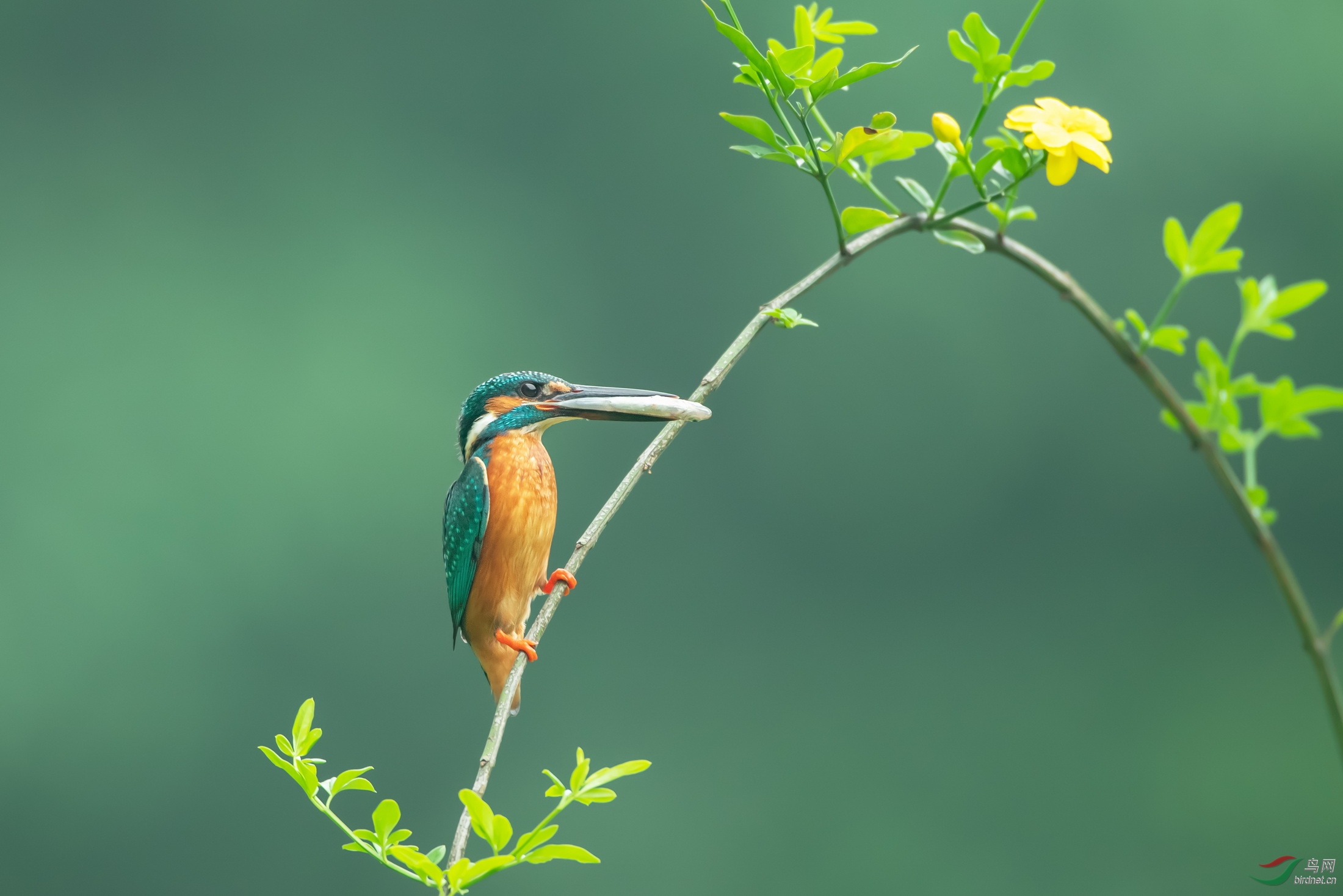 DSC_8627.jpg