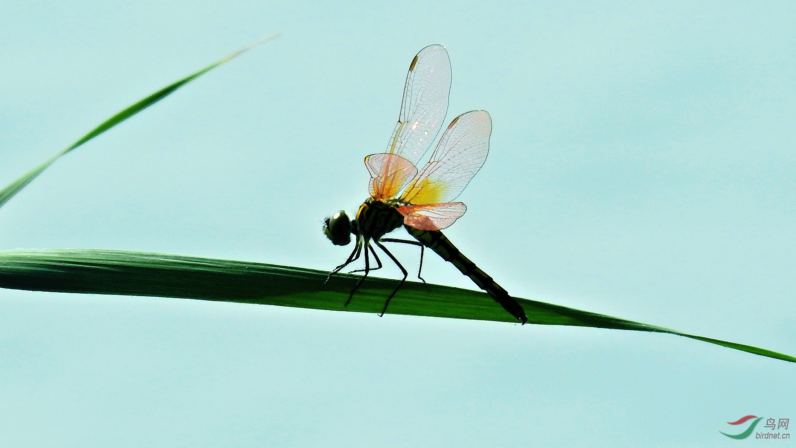 DSCN2798.JPG
