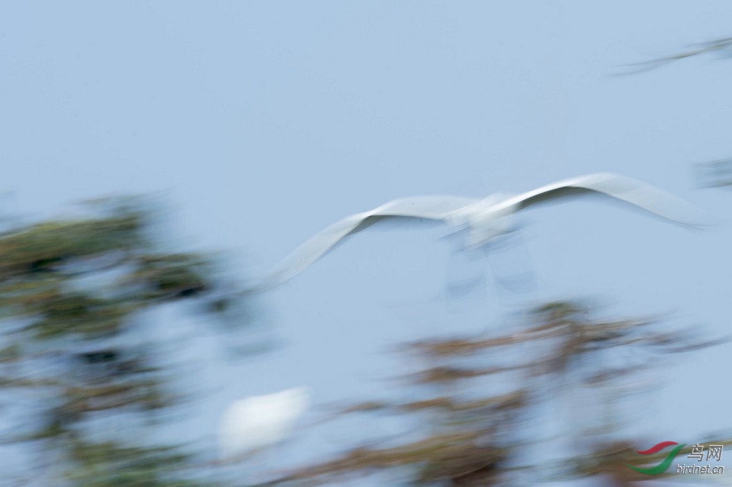 nEO_IMG_DSC_7197.jpg