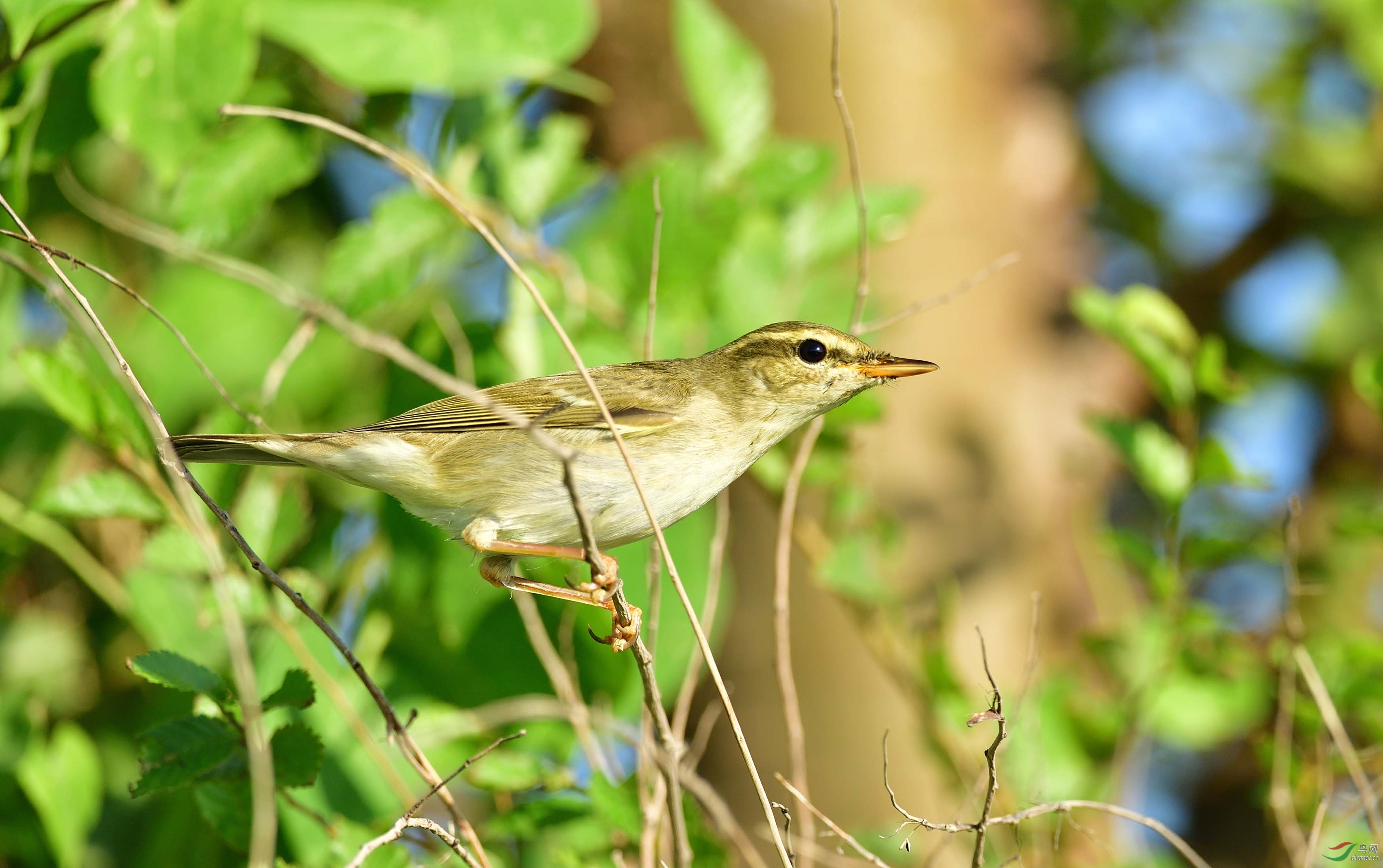 DSC_2345.JPG