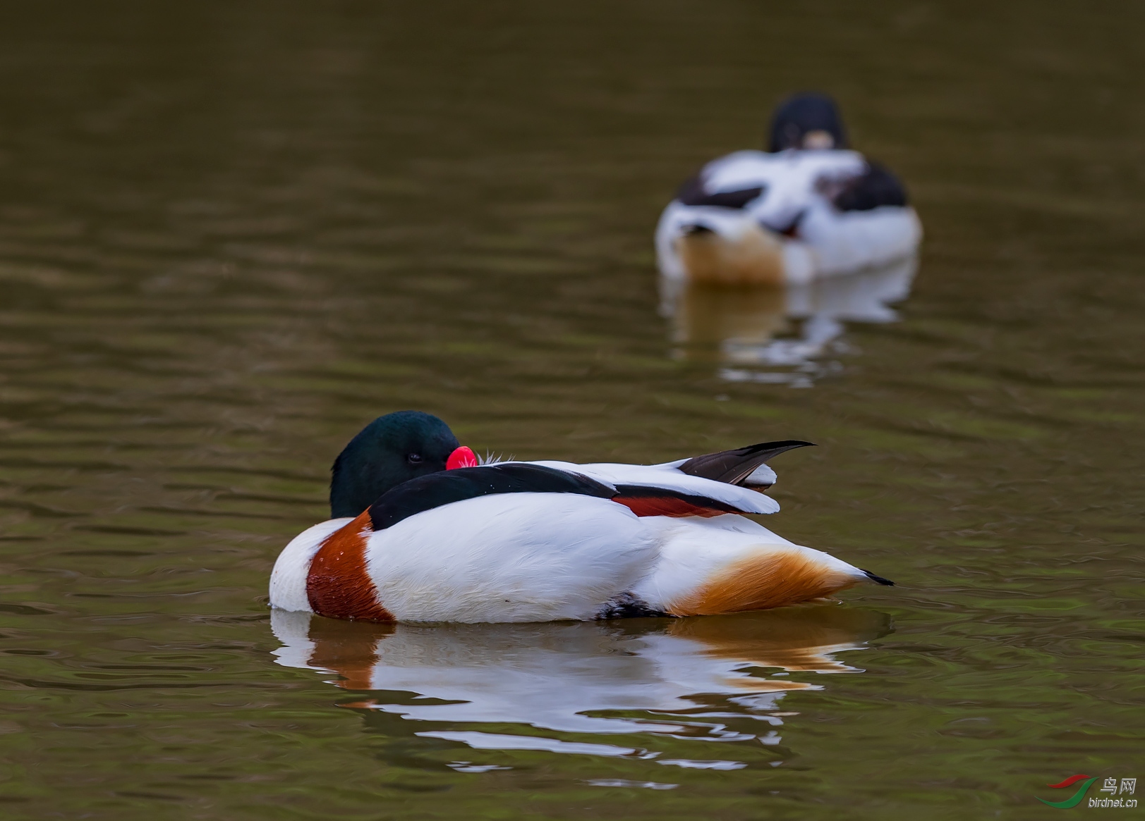 1DX_2790.jpg