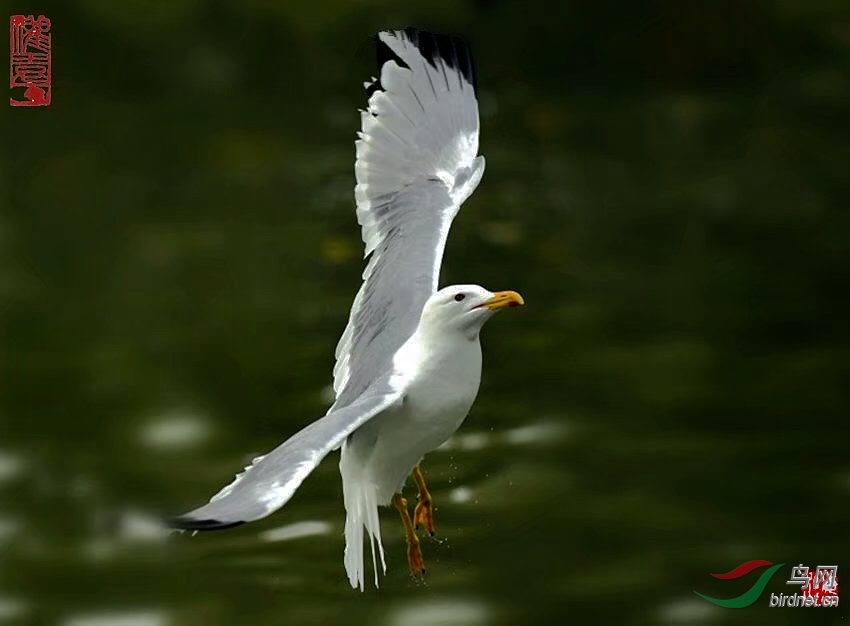 D5396D16-BB2C-4342-934D-D8777218AC69.jpeg