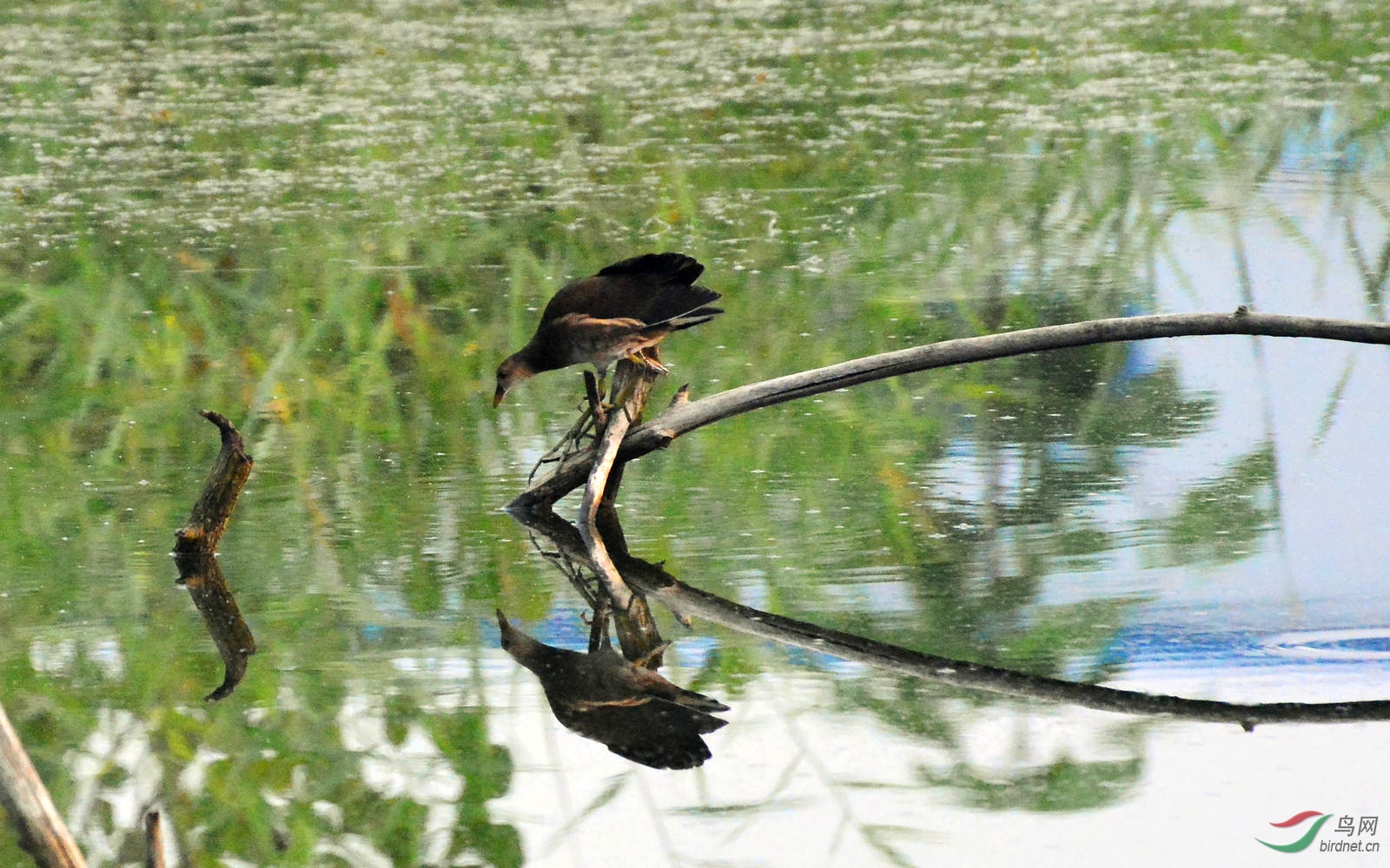 DSC_3863.JPG
