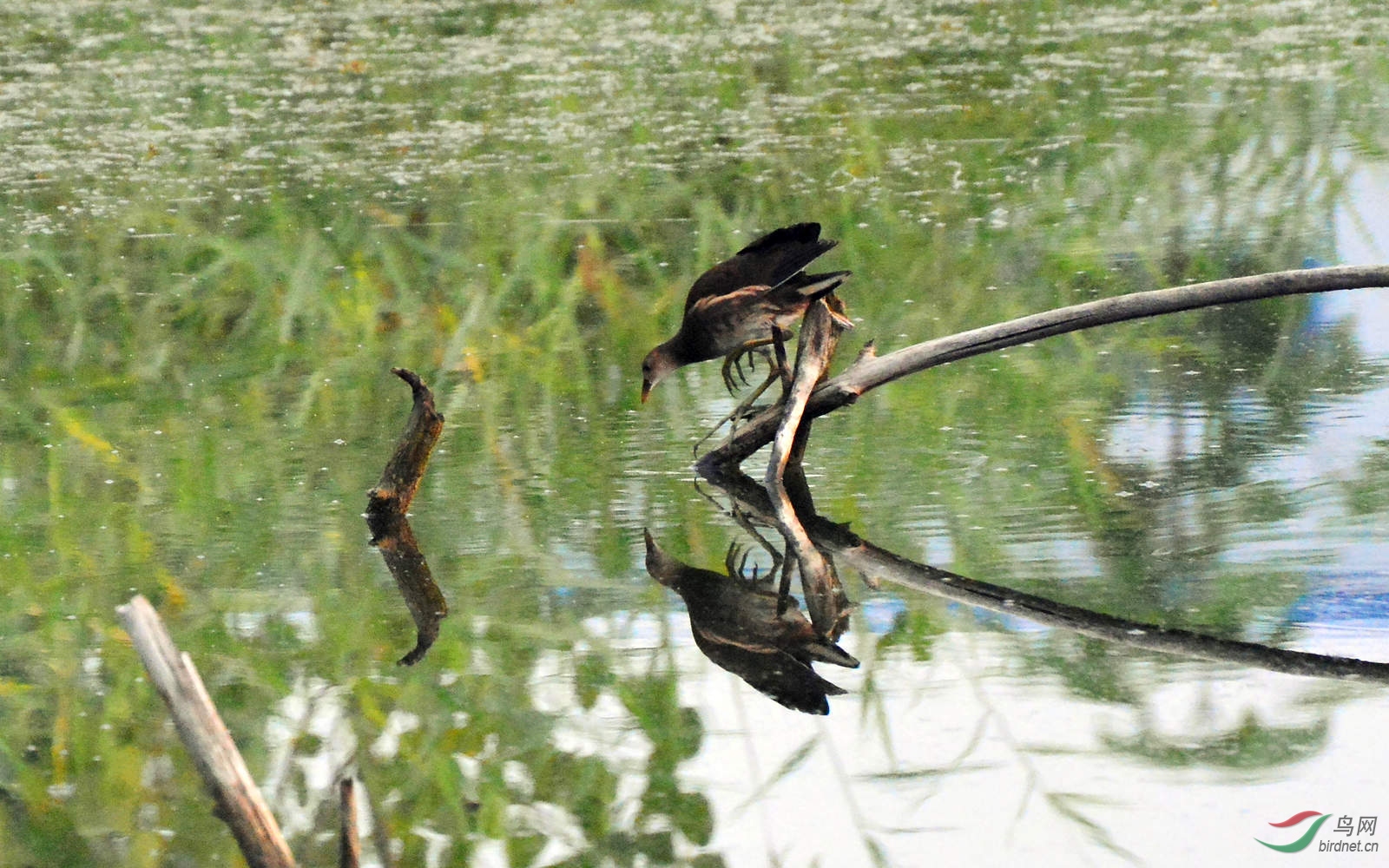 DSC_3865.JPG