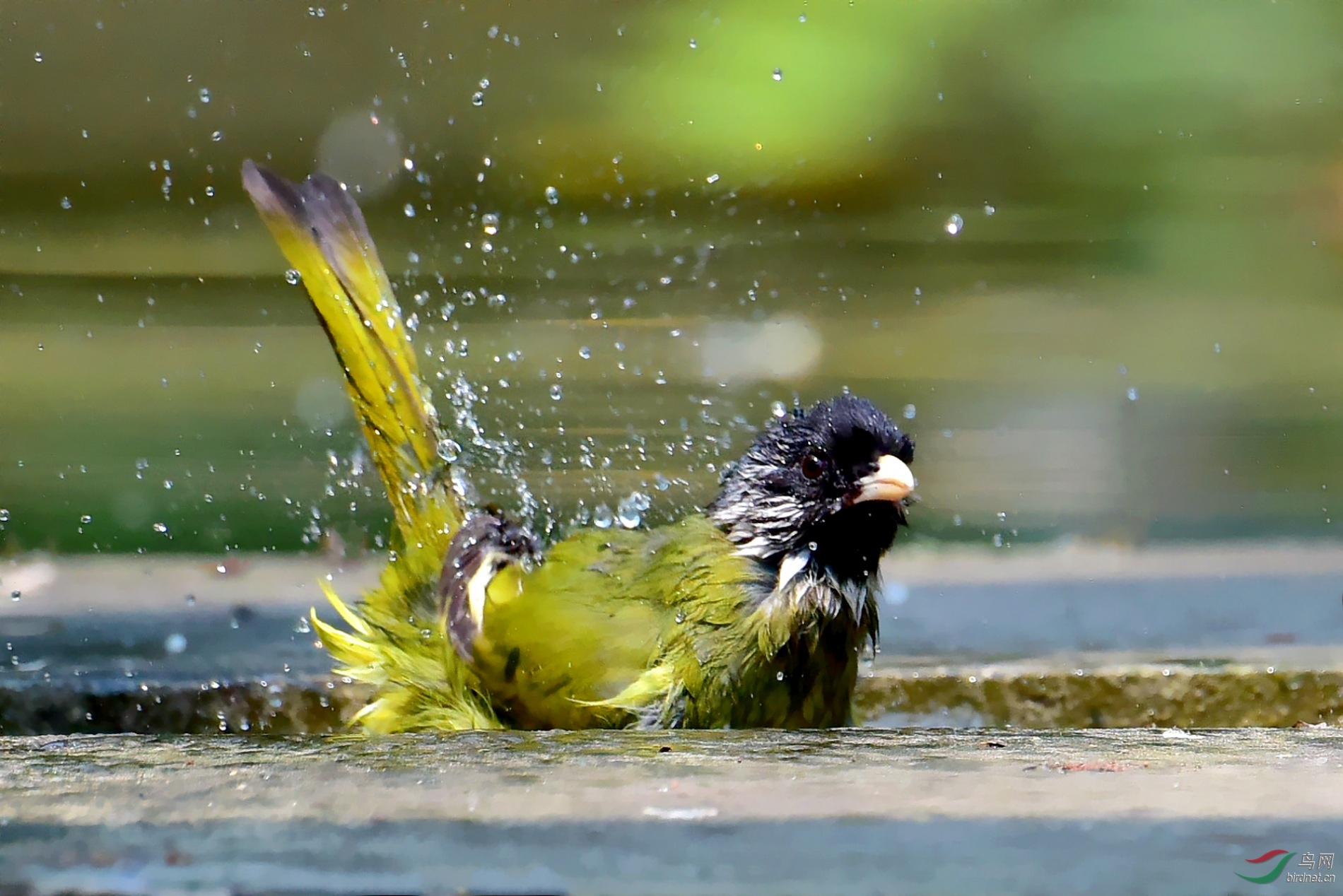 DSC_3089_conew3.jpg