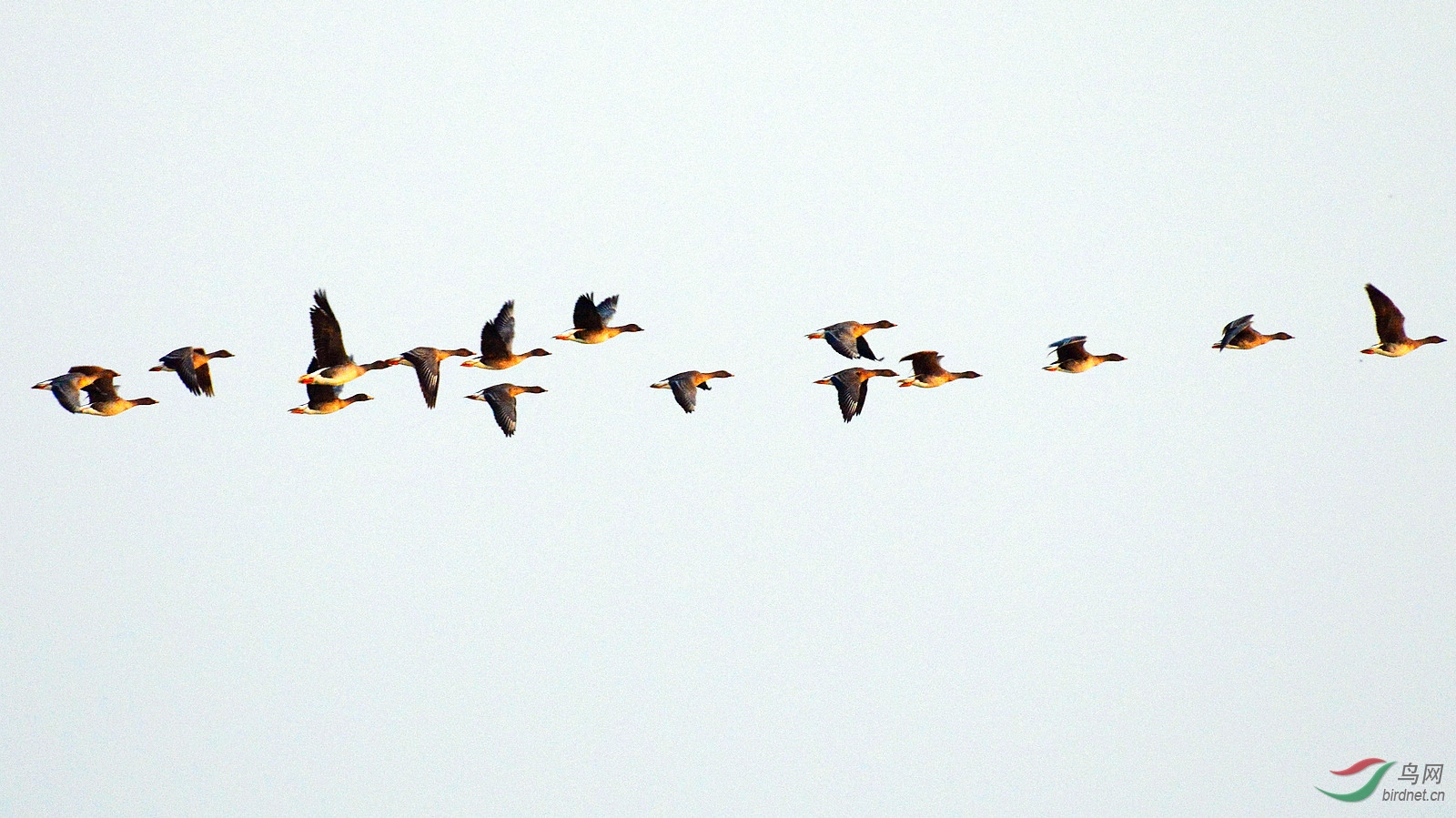 DSC_8642.JPG