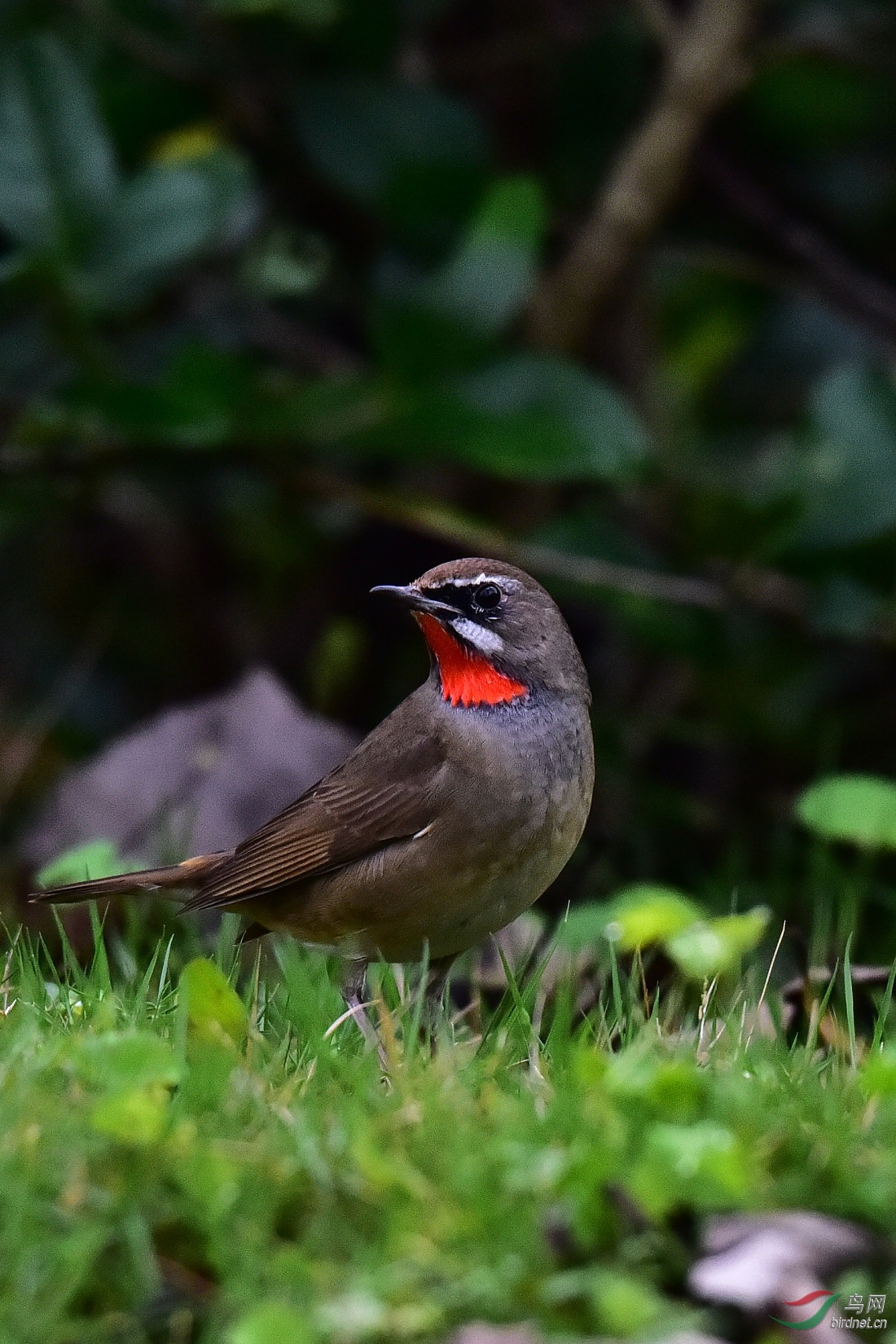 DSC_0317.JPG