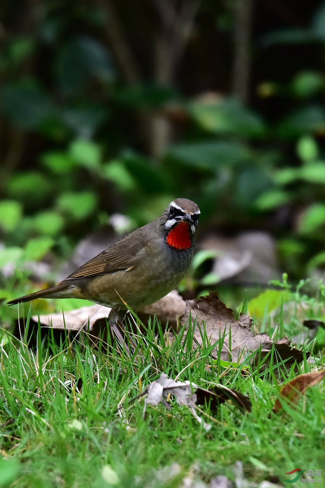 DSC_0322.JPG