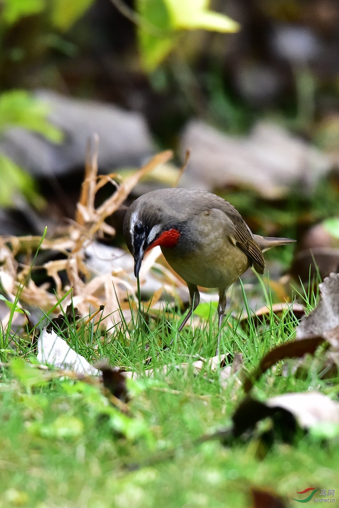 DSC_0325.JPG